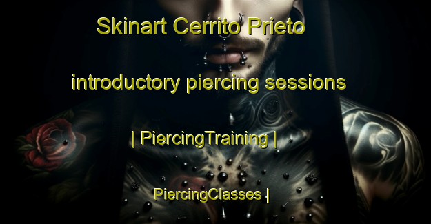Skinart Cerrito Prieto introductory piercing sessions | PiercingTraining | PiercingClasses | SkinartTraining-Mexico